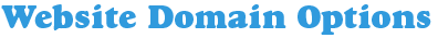 Website Domain Options Website Domain Options